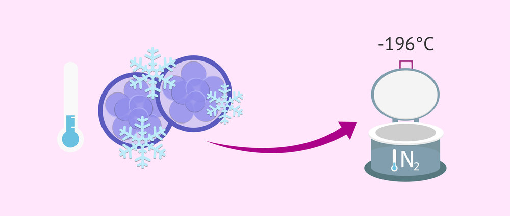Вітрифікація ембріонів у «Мати та дитина»: сучасний метод збереження репродуктивного потенціалу