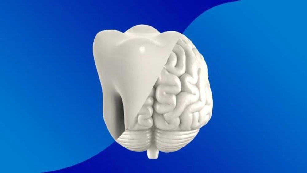 Может ли воспаление зуба влиять на мозг и ЛОР-органы