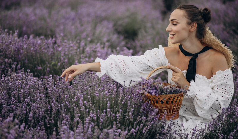 Як красиво підписати фото з лавандою: приклади, цитати, ідеї